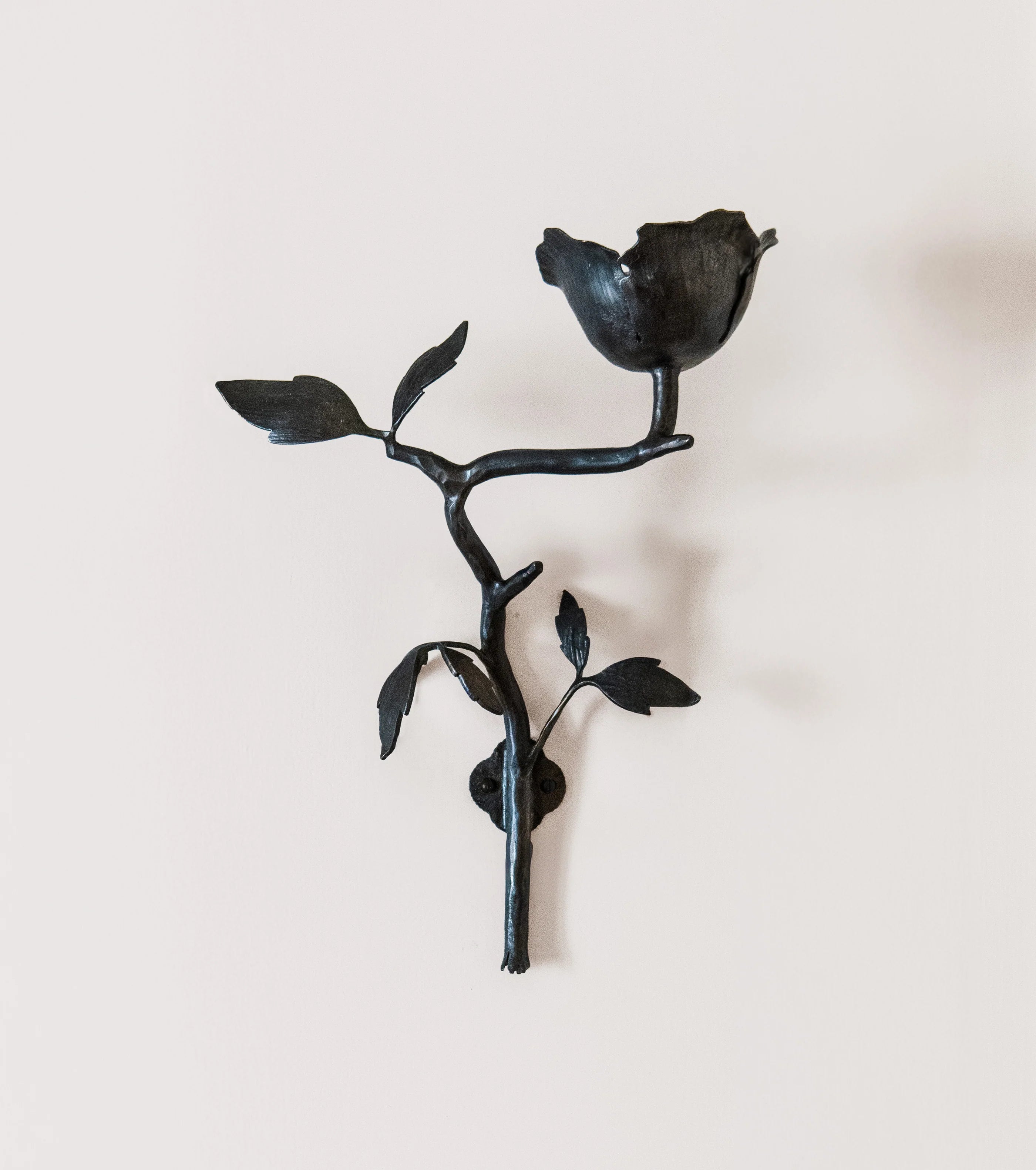 Clematis Wall Light by Jess Wheeler Studio