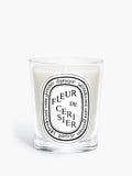 Diptyque Fleur de Cerisier (Cherry Blossom)